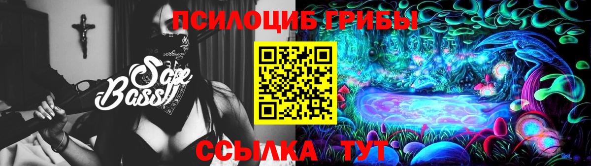 Галлюциногенные грибы Psilocybe  сколько стоит  Семёнов  Вход с VPN 