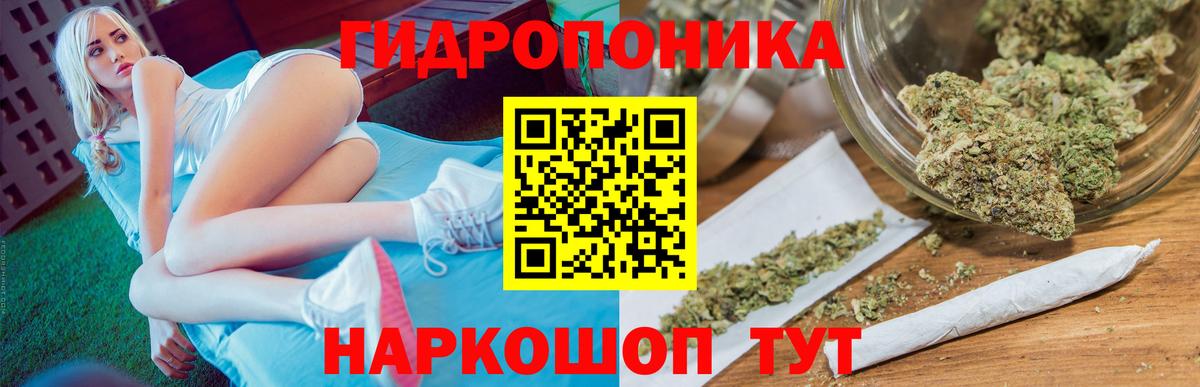 Конопля индика Семёнов